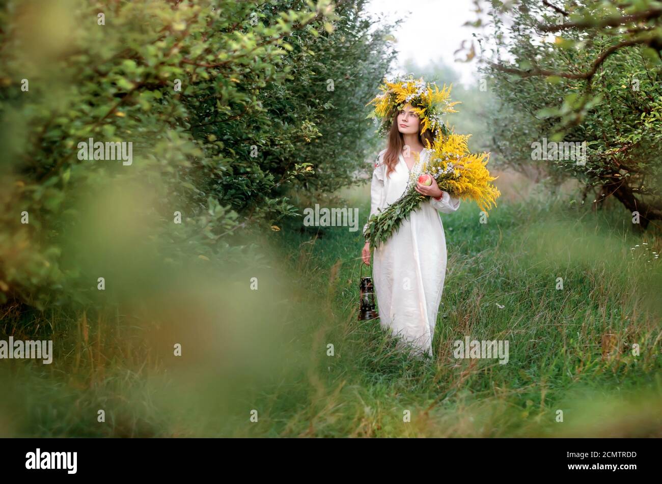 Giovane bella donna in una corona di fiori selvatici e una lunga camicia bianca nazionale cammina nel frutteto di mele. Cultura Ucraina, stile etno Foto Stock