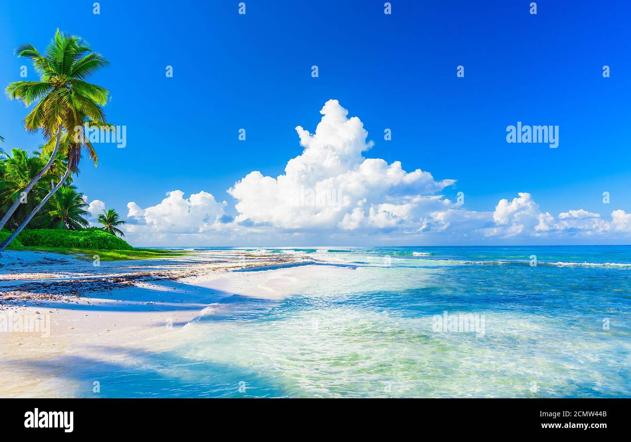 Paradise spiaggia tropicale Foto Stock