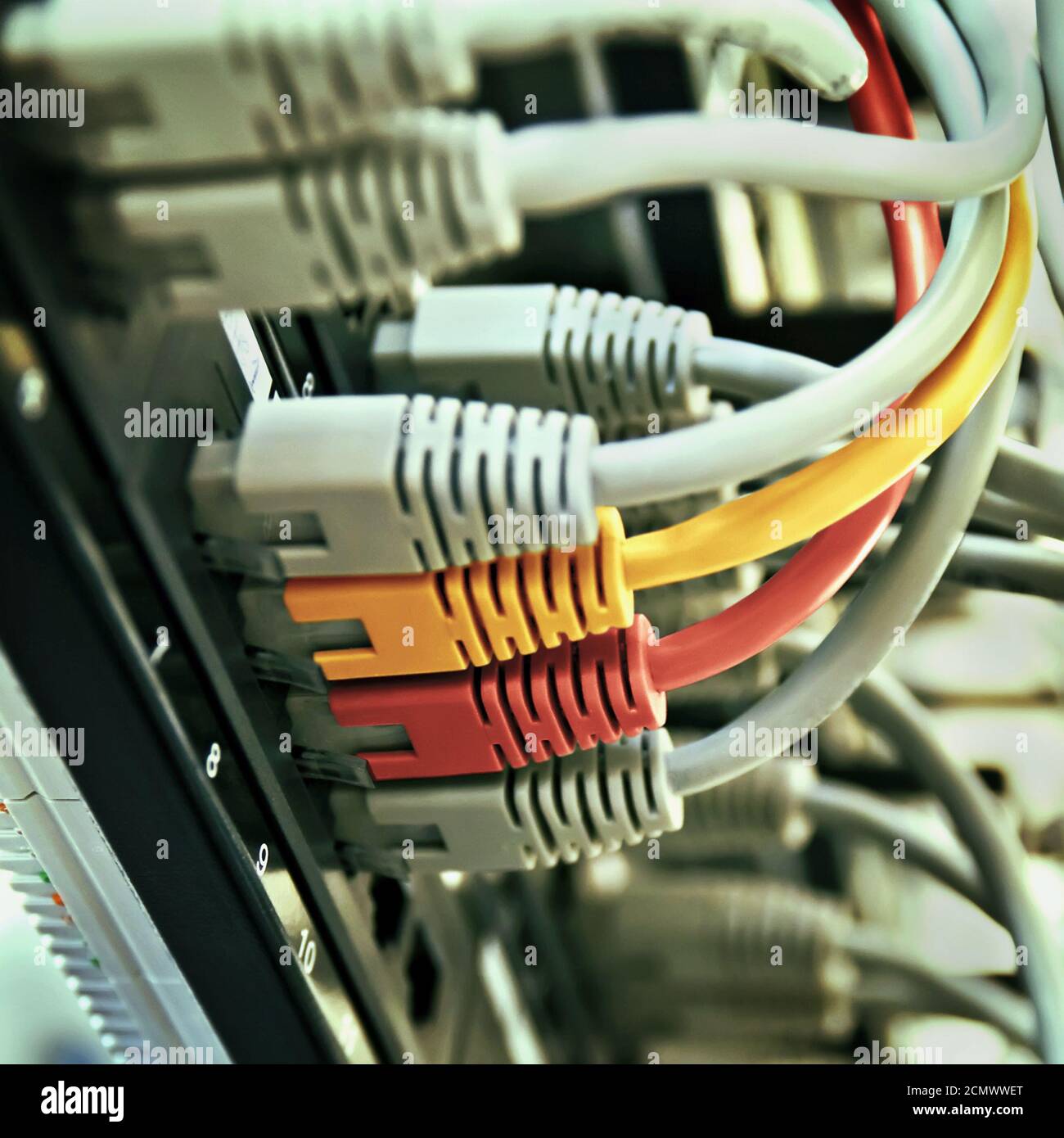 Pannello patch server rack con giallo grigio e rosso corde Foto Stock