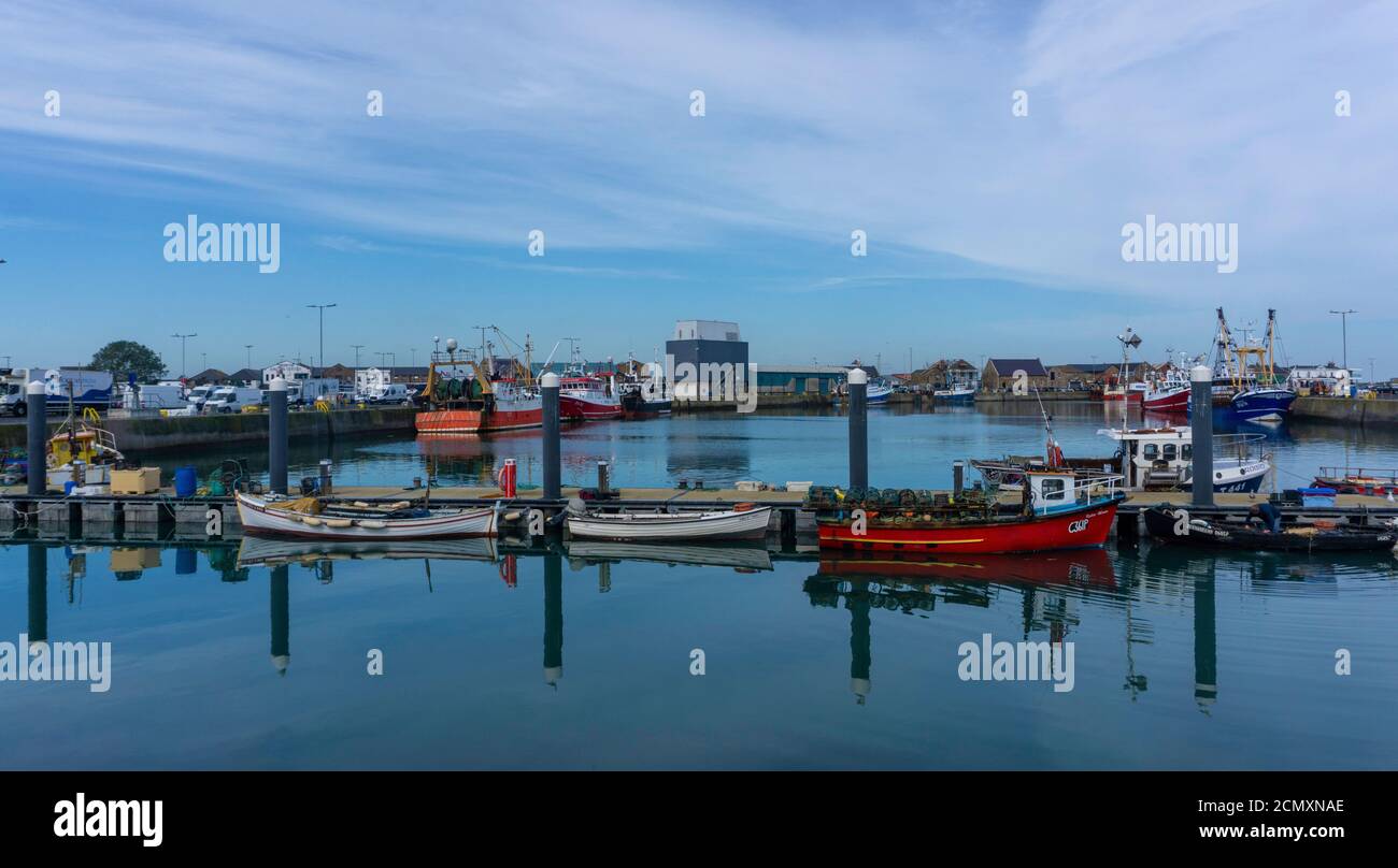 Piccole imbarcazioni da pesca allacciate a Howth, Dublino, Irlanda. Foto Stock