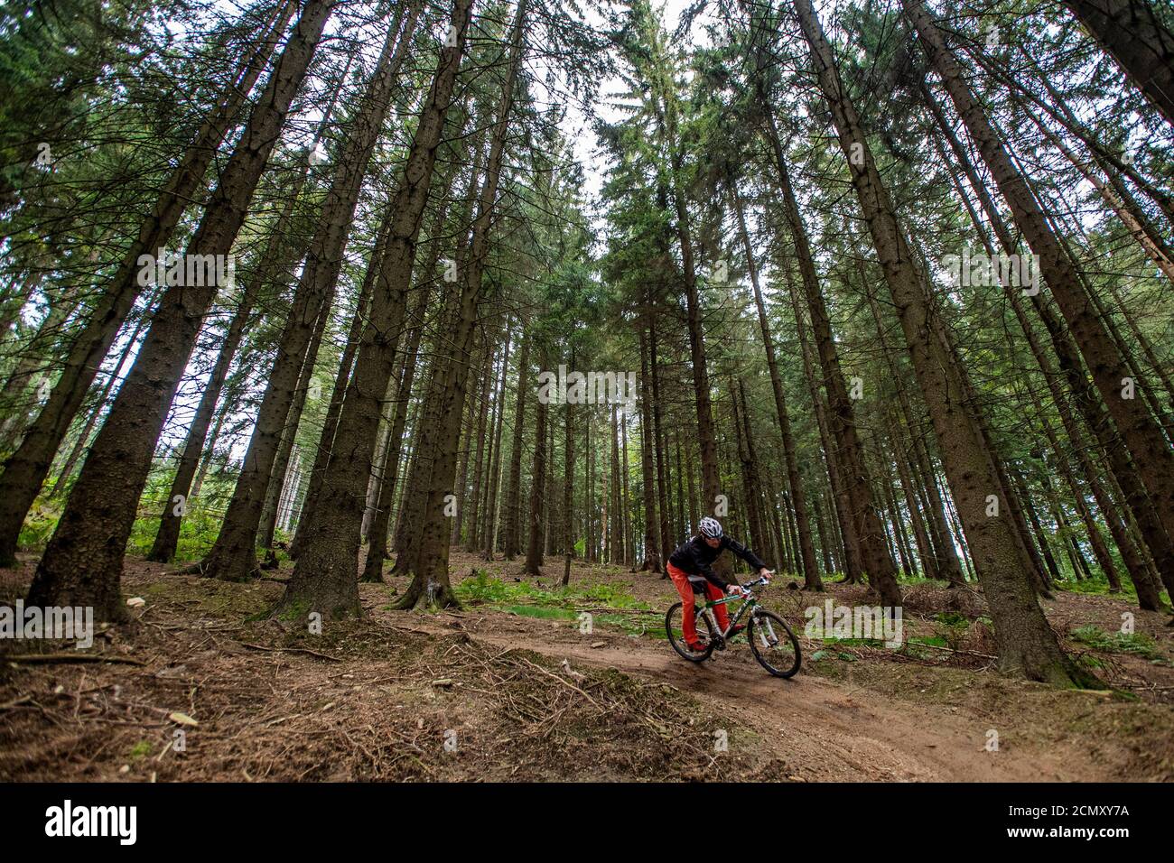 Zdoblnice, Repubblica Ceca. 17 Settembre 2020. Motociclista in azione al percorso  ciclistico a Zdobnice vicino a Rychnov, Repubblica Ceca, 17 settembre 2020.  La pista ciclabile di Zdobnice appartiene alla rete di piste