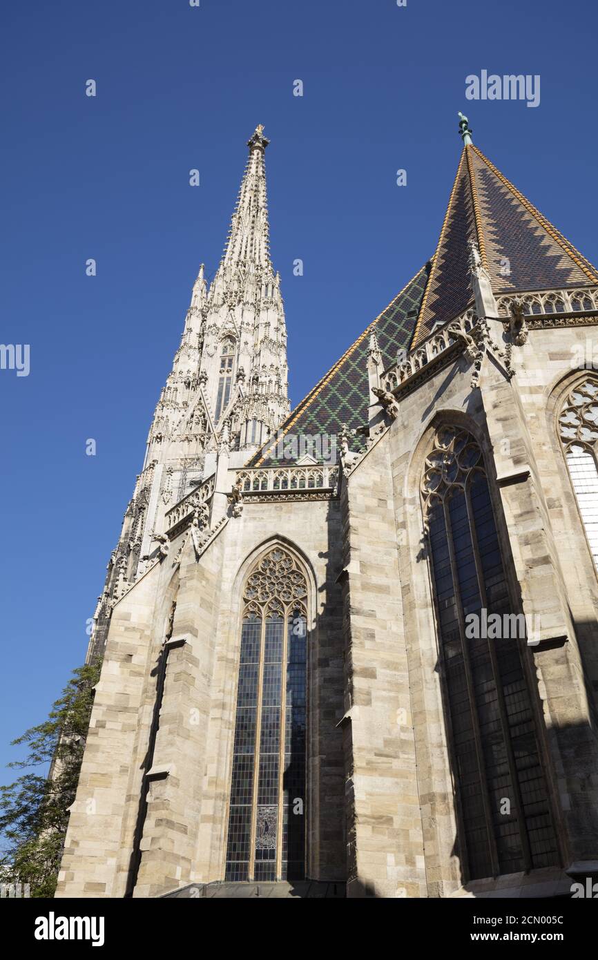 Cattedrale di Santo Stefano´s, Vienna Foto Stock