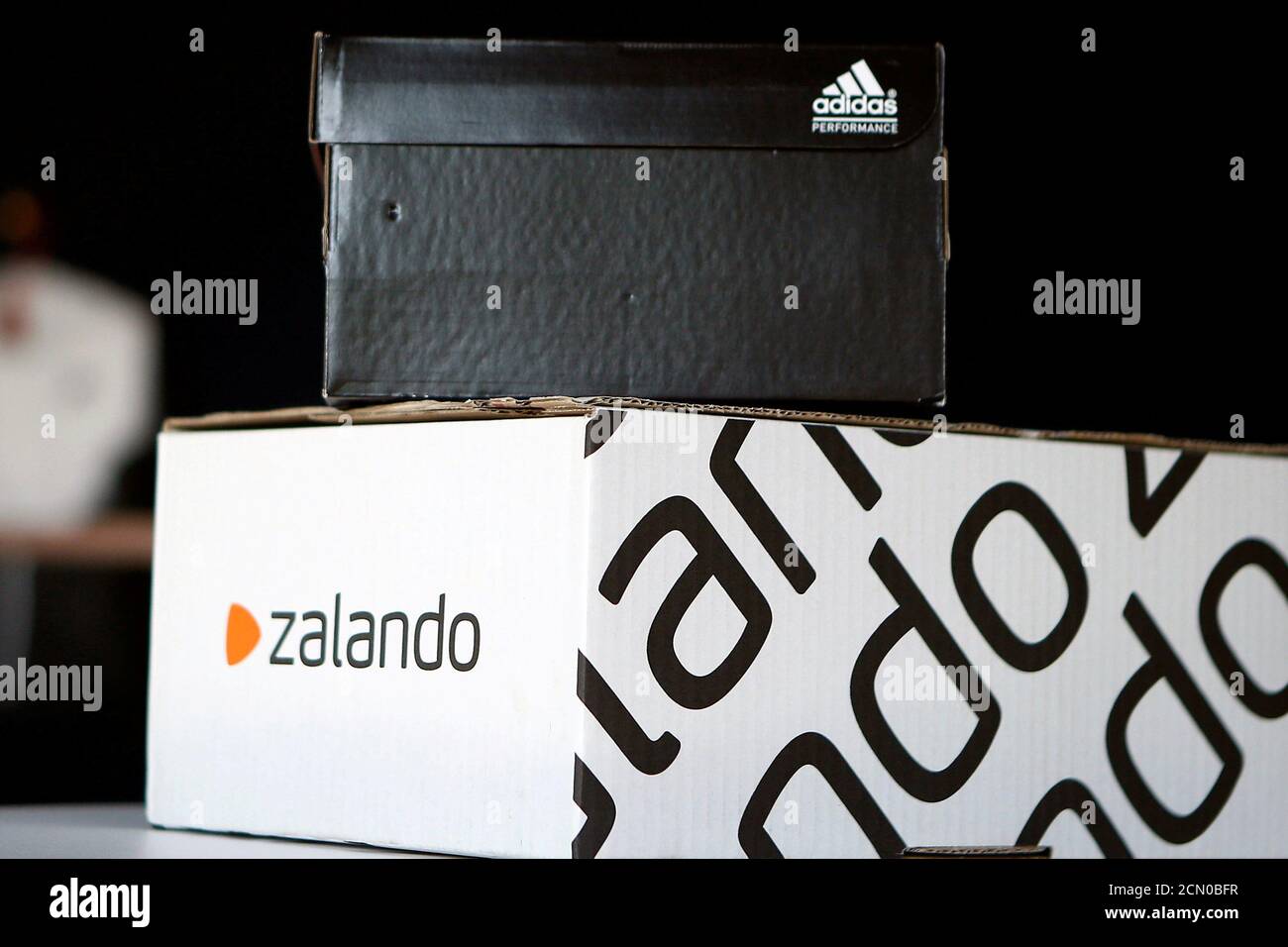 cerca zalando