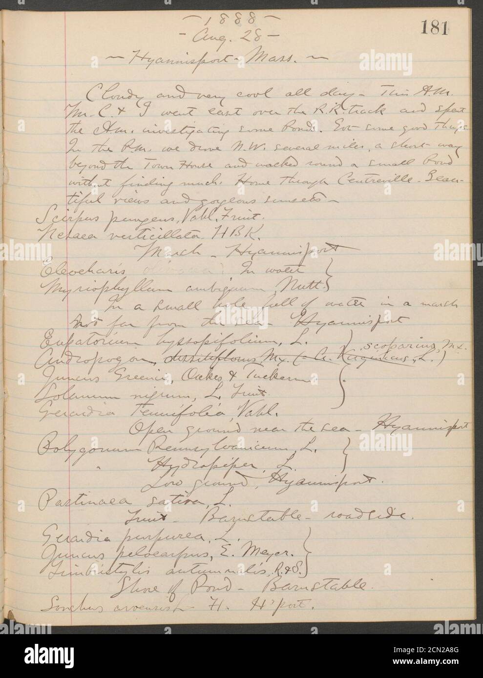 Giornale di registrazione, 1887-1890 (incluso) (pagina 181) Foto Stock