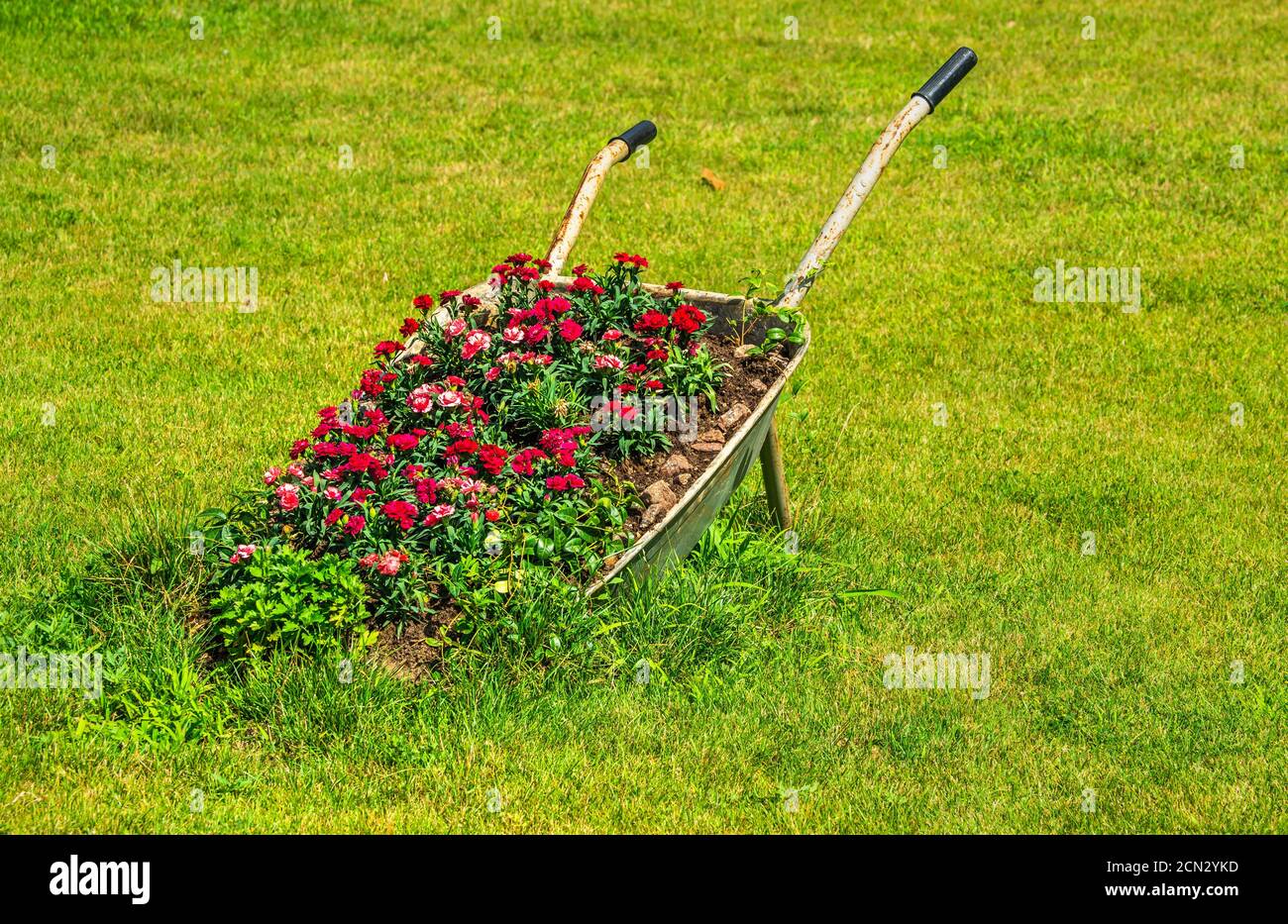 Vesele, Ucraina 07.24.2020. Parco nel castello della cantina Prince Trubetskoy in una soleggiata giornata estiva Foto Stock