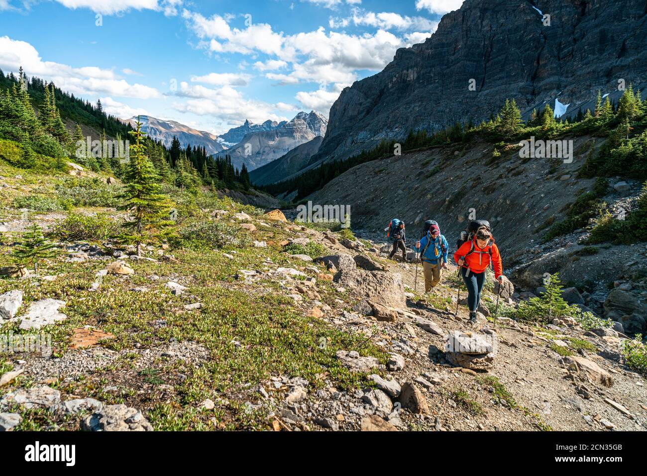 Trekking lontano nel backcountry lungo Owen Creek vicino Banff Foto Stock