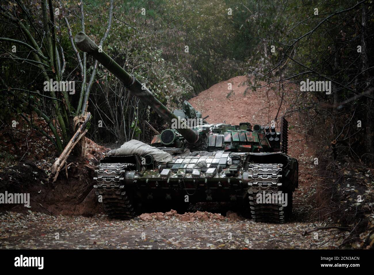 panzer T-64 è mascherato e nascosto in un caponnière dentro una foresta di conifere Foto Stock