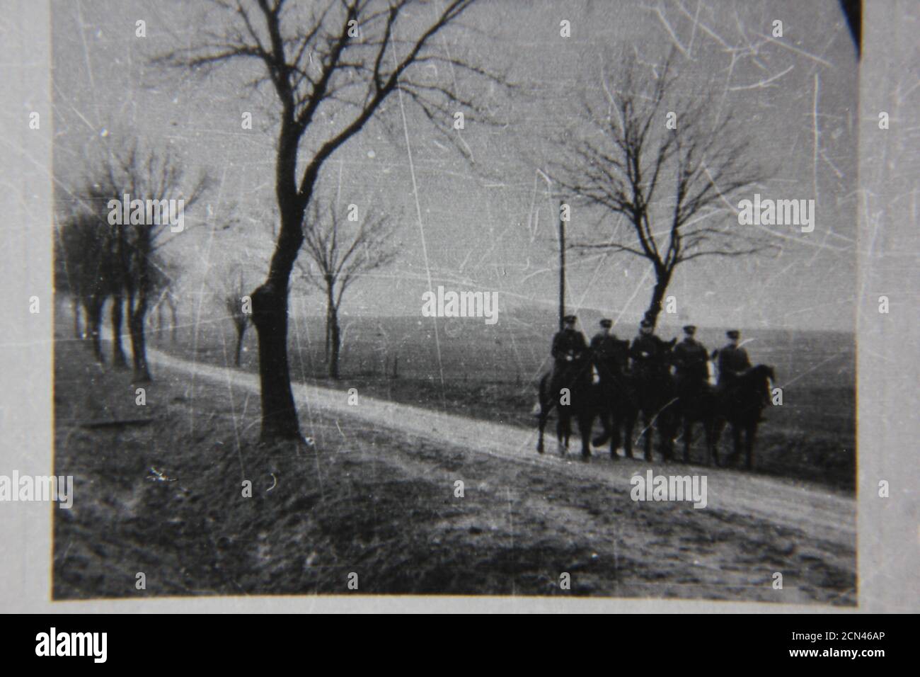 Bella fotografia in bianco e nero degli anni '70 di cinque uomini su cavalli che trottano lungo un percorso di campagna. Foto Stock