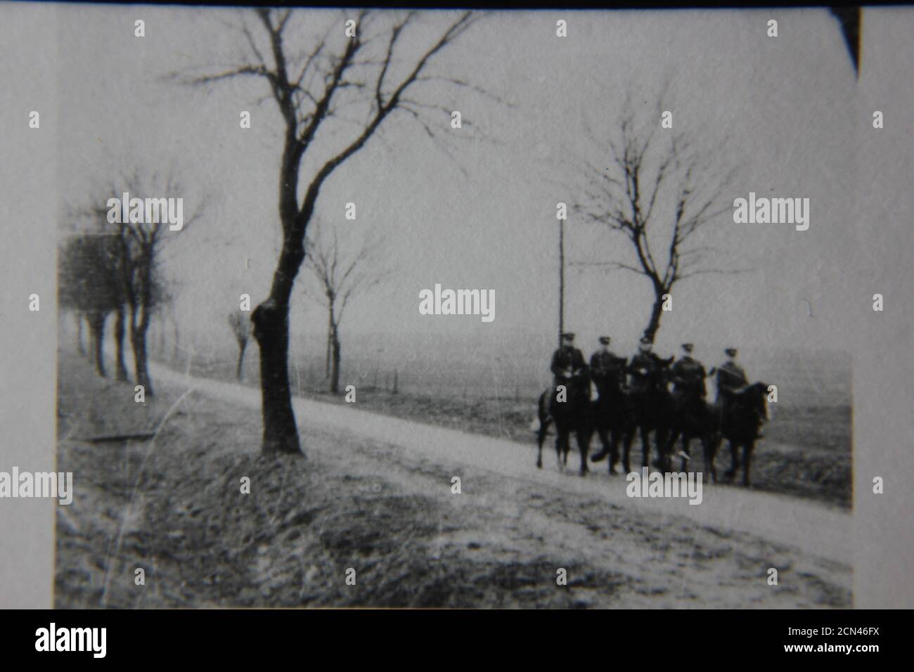 Bella fotografia in bianco e nero degli anni '70 di cinque uomini su cavalli che trottano lungo un percorso di campagna. Foto Stock