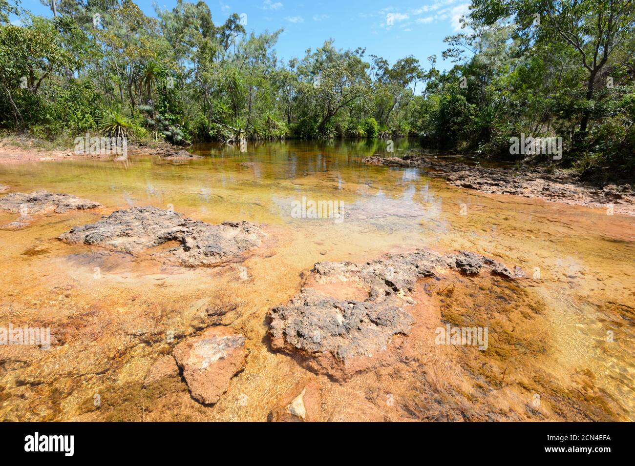 Creek che attraversa Giddy River, East Arnhem Land, Northern Territory, NT, Australia Foto Stock