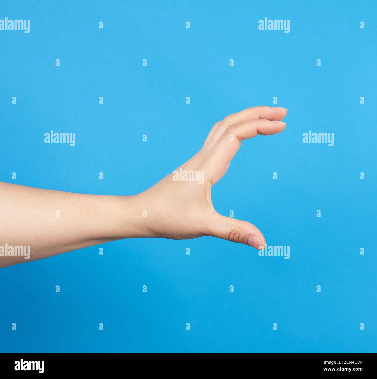 la mano femminile tiene un soggetto condizionale su sfondo blu Foto Stock