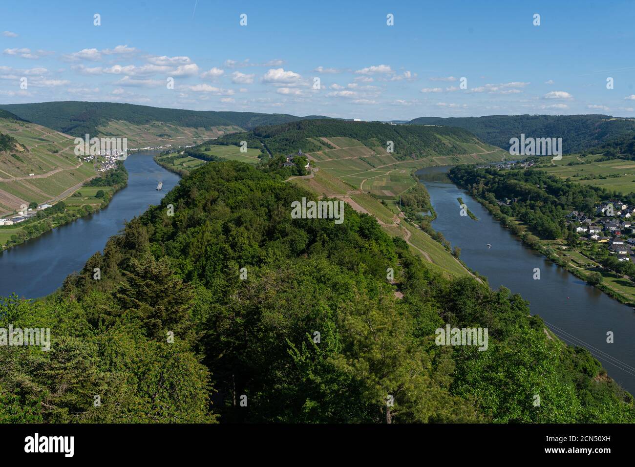 Con la bicicletta sulla pista ciclabile attraverso la campagna Lungo il fiume Mosella in Renania-Palatinato da Treviri a Coblenza poll Foto Stock