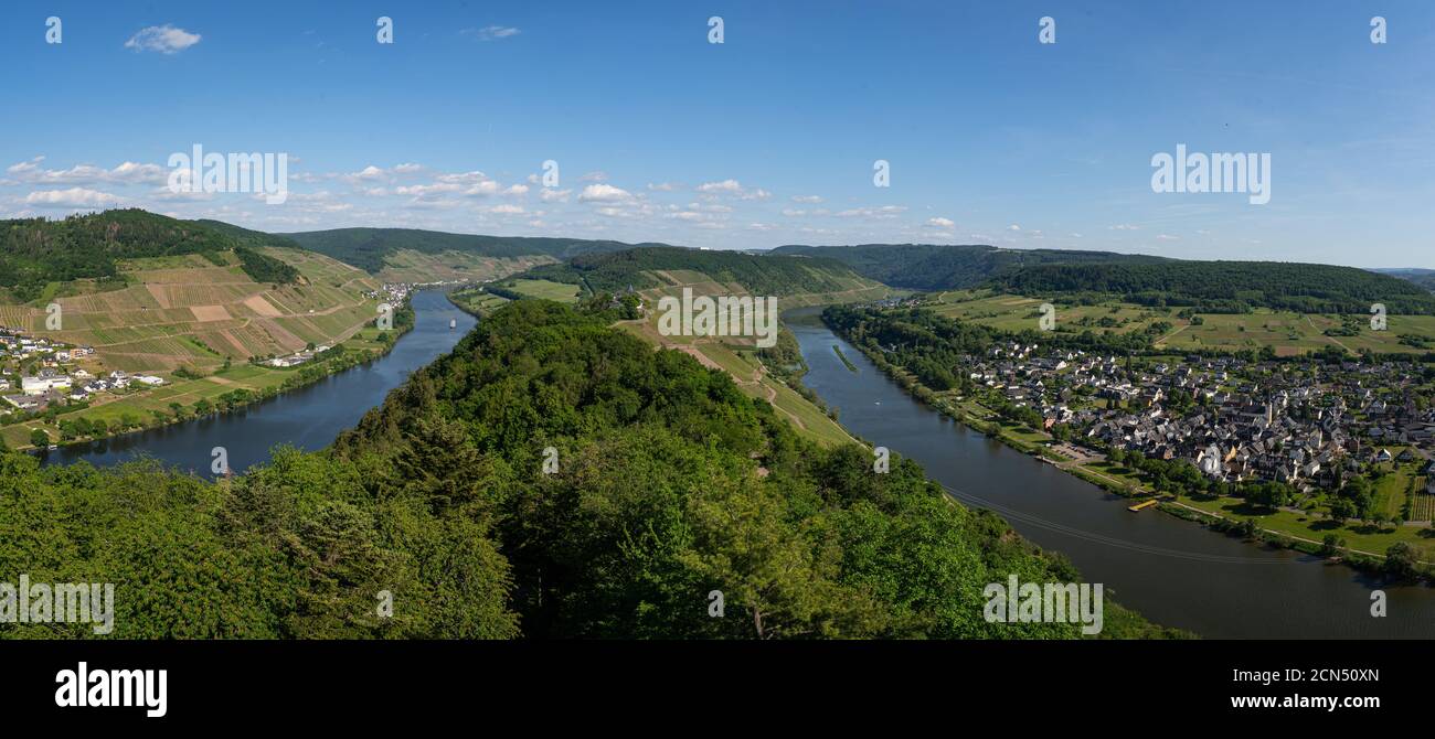 Con la bicicletta sulla pista ciclabile attraverso la campagna Lungo il fiume Mosella in Renania-Palatinato da Treviri a Coblenza poll Foto Stock