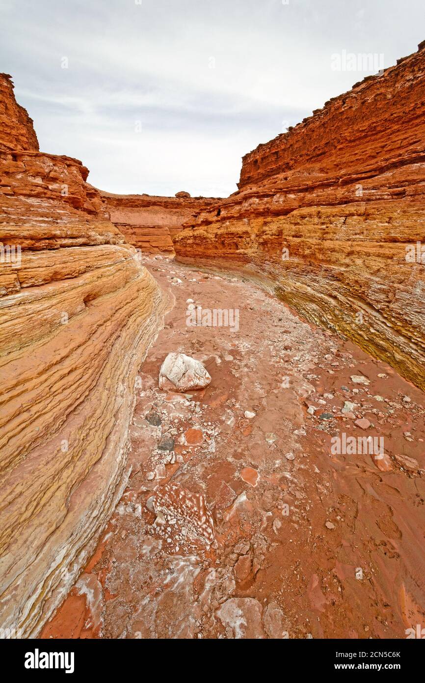 Guardando verso il basso un lavaggio a secco Canyon in Glen Canyon National Recreation Area in Arizona Foto Stock