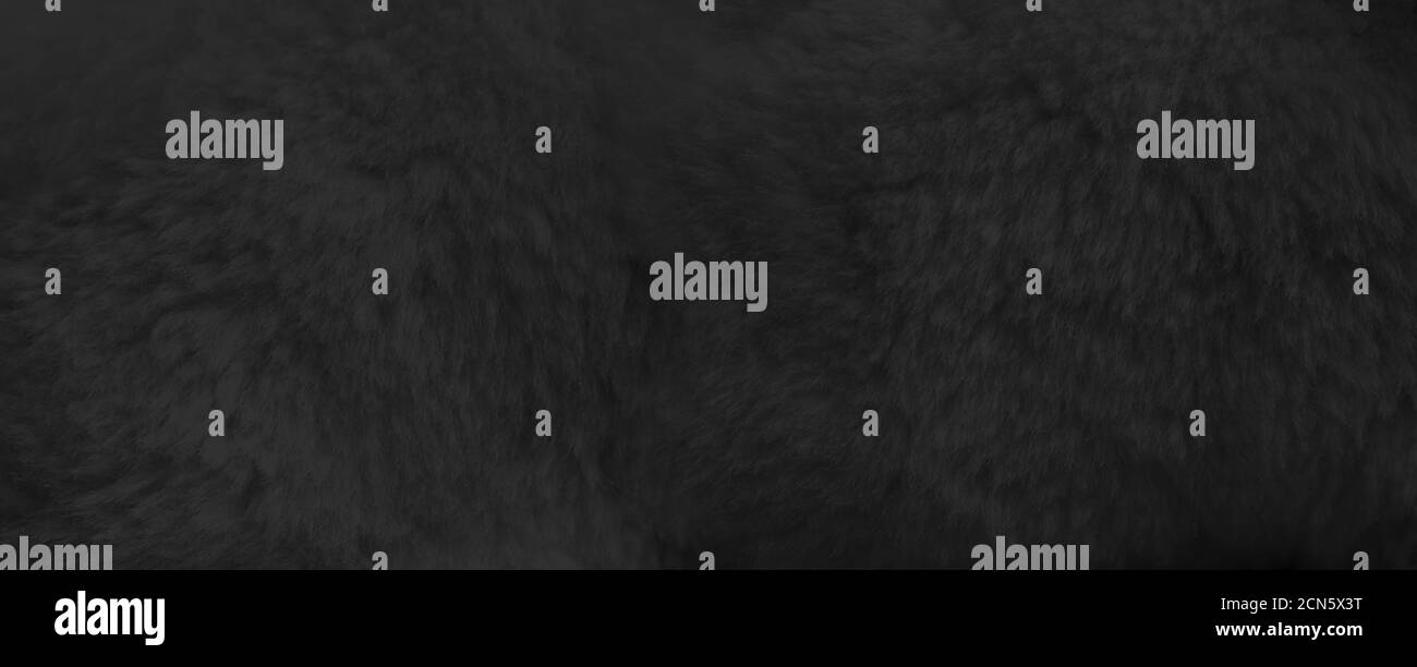 Vista ravvicinata dello sfondo in pelliccia nera. Banner Foto Stock