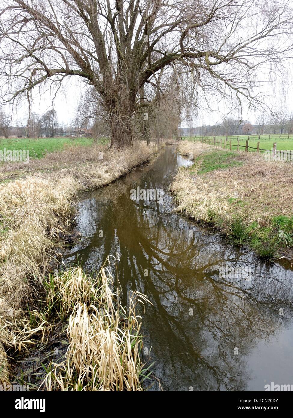 Wipperau, affluenza del fiume Ilmenau Foto Stock