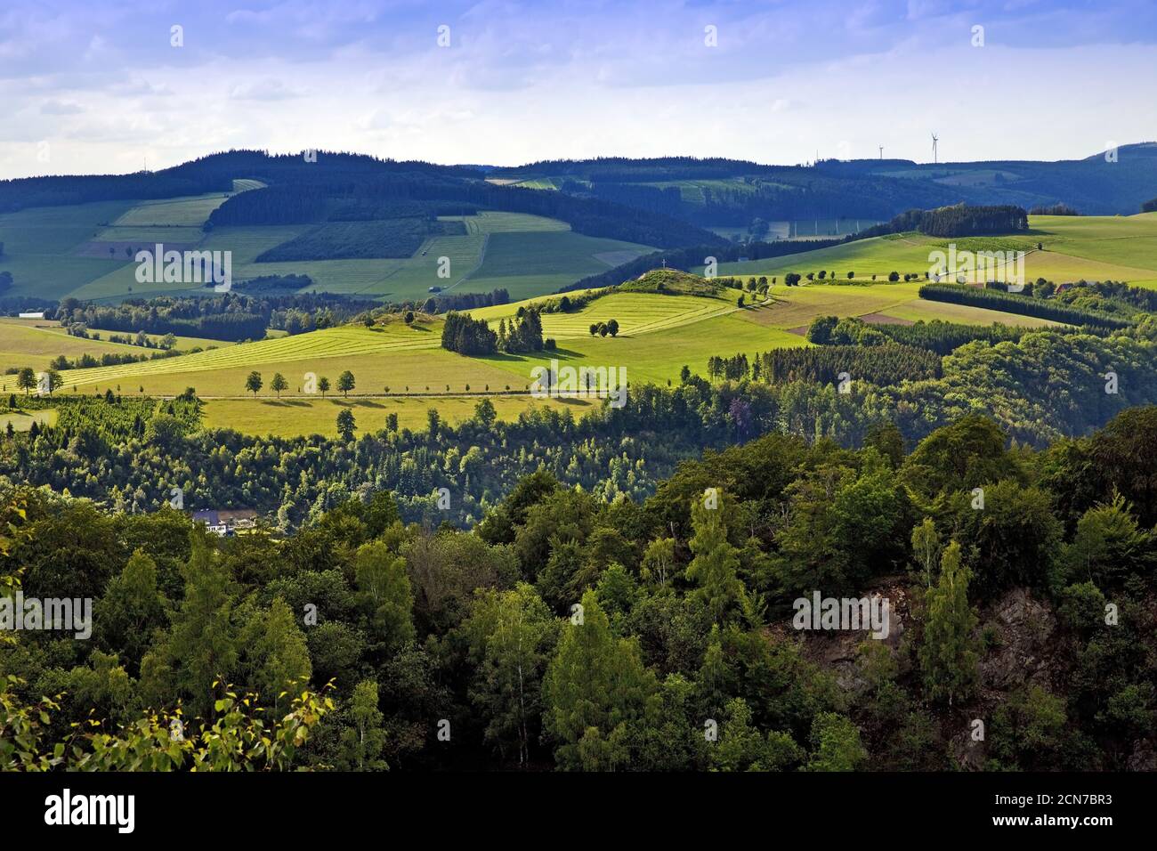Paesaggio tra Siedlinghausen e Silbach, Winterberg, Nord Reno-Westfalia, Germania, Europa Foto Stock
