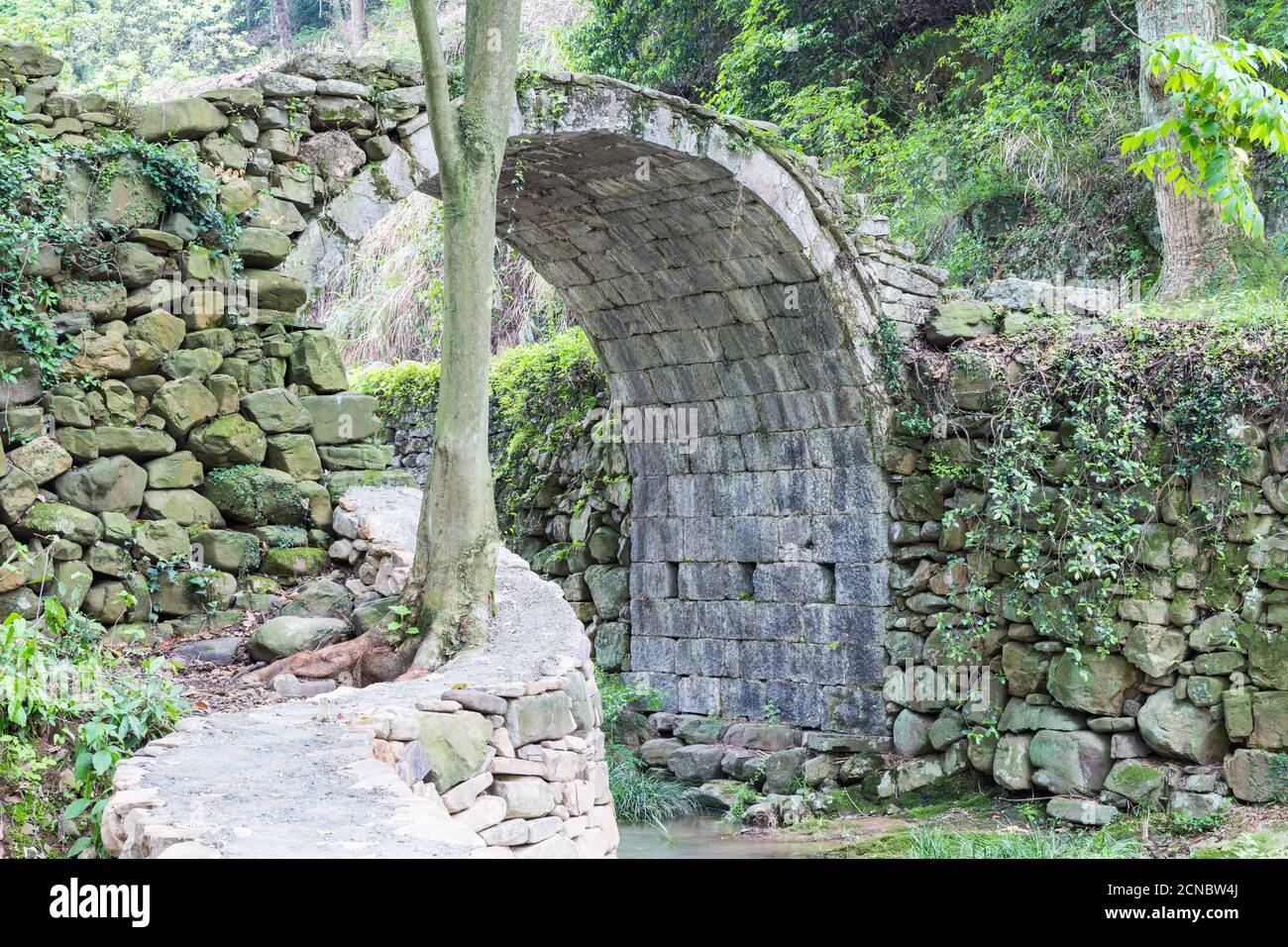 antico ponte ad arco in pietra Foto Stock