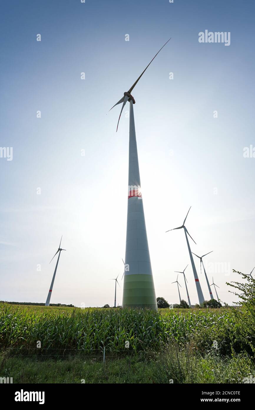 Turbine eoliche su un campo di mais in retroilluminazione contro un cielo blu con una stella solare, energia rinnovabile concetto nel nord della Germania, copia spazio, selezionato fuoco Foto Stock