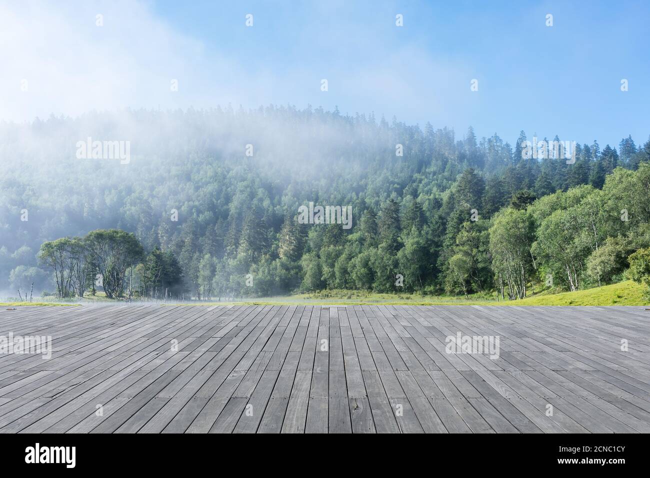 sfondo forestale con pavimento in legno Foto Stock