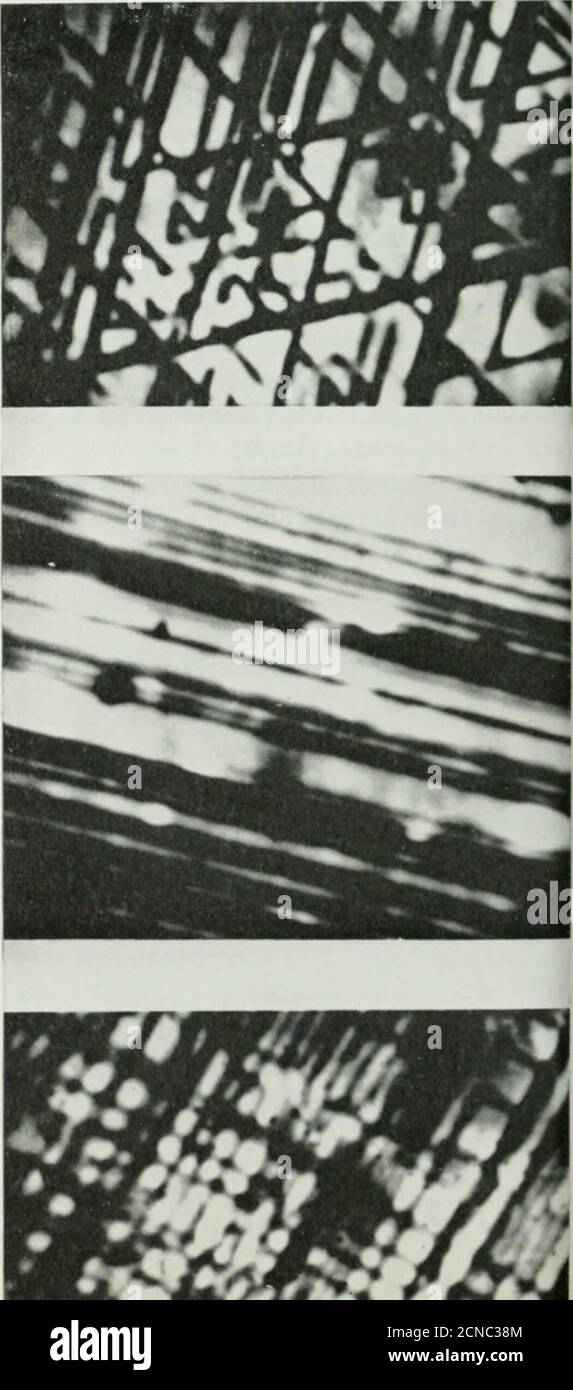 . Rivista Bell Telephone . nique in microscopia de-veloped presso Bell Telephone Laboratories. Thetechnique consente agli scienziati di studiare i difetti dei cristalli interni in diodi semiconduttori senza danneggiare i campioni o utilizzando trattamenti speciali. 60 l'apparecchiatura di base utilizzata è una microsonda elettronica a scansione standard. Produce un fascio di elettroni focalizzato in modo sicuro che sonda i thespecimens ad una profondità determinata dall'en-ergia del fascio: Maggiore è l'energia, più profonda è la penetrazione del fascio. Quando il fascio di elettroni di scansione sonda la giunzione p-n di un diodo semiconduttore,il diodo produce una corrente di risposta Foto Stock