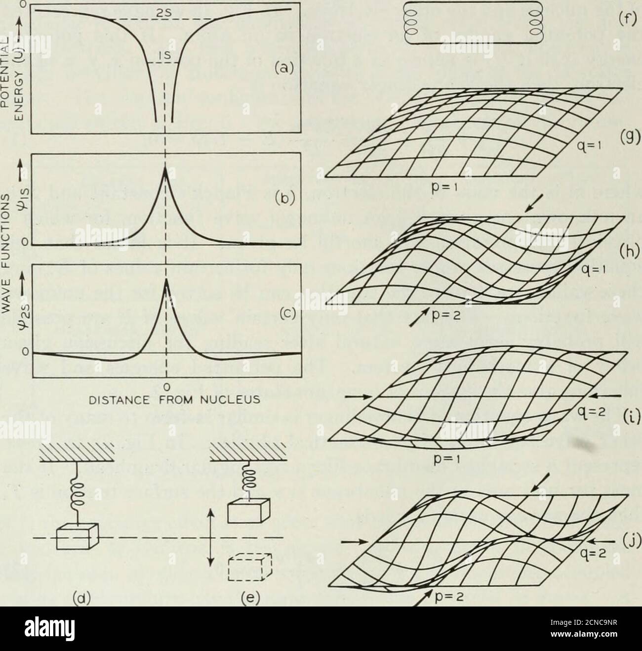 . Il giornale tecnico Bell System. I pattern d'onda ng corrispondenti alle quattro frequenze più basse sono mostrati nelle Figg. da 7g a 7j. ^ per gli elementi di transizione diversi dal cromo, i movimenti degli elettroni nelle loro funzioni d'onda producono momenti magnetici che devono essere considerati come pure lo spin; Per una discussione di questo punto il lettore è di nuovo riferito a Spinning Atomsand Spinning electrons di K. Darrow, Bell System Technical Journal, XVI, p.319 e a testi sulla fisica atomica. 664 REGISTRO TECNICO DEL SISTEMA A CAMPANA il tipo di vibrazione del sistema in uno di questi modelli è calleda norma Foto Stock