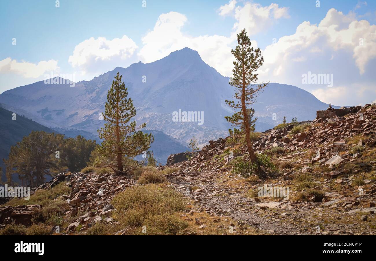 Montagne nella Sierra Nevada Foto Stock