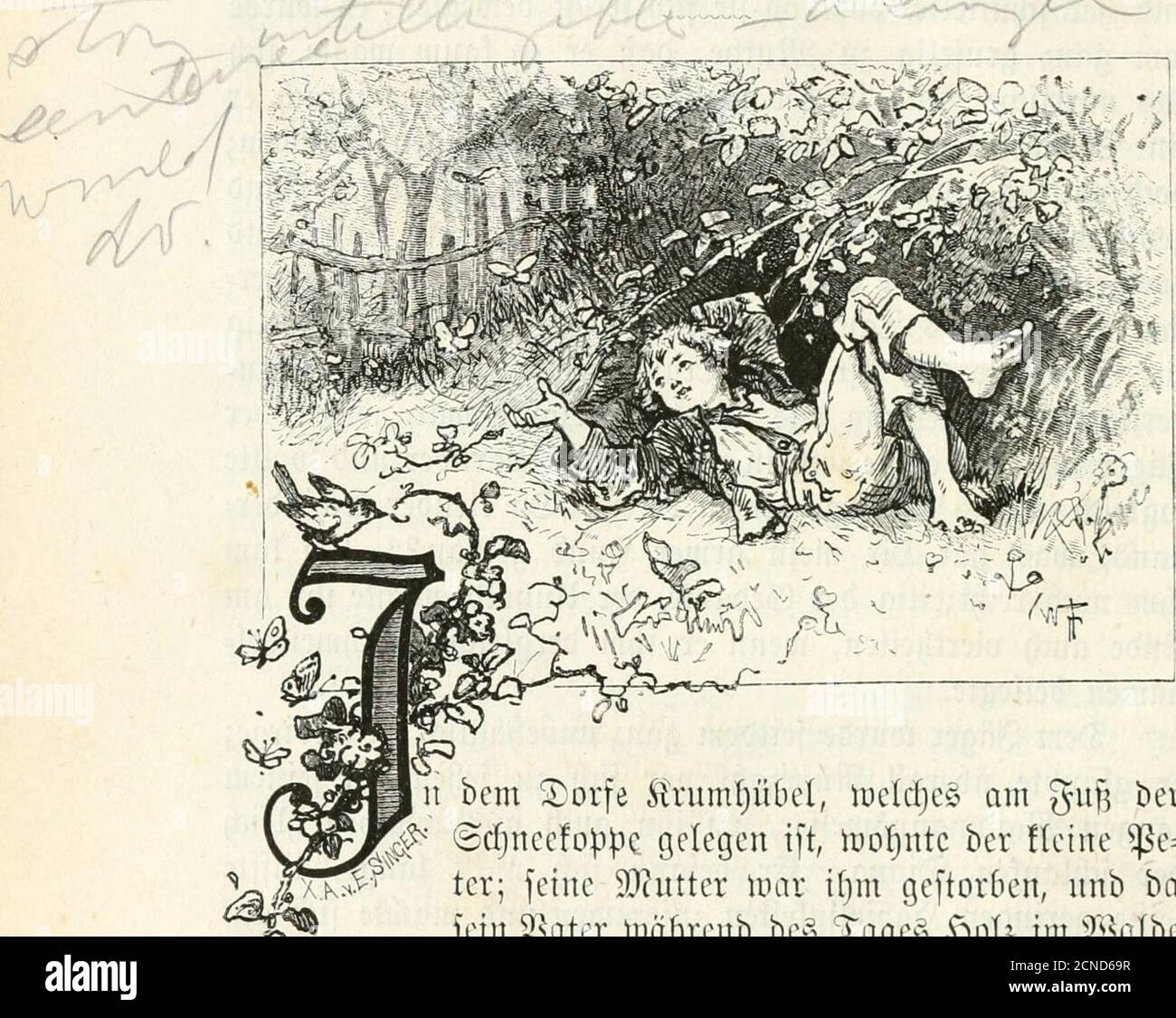 . – Der Herr des Riesengebirges . %t1mt ^A.. 11 bcm 5)orfe Ärumljübcl, iucldjcs am gu^ bei*8d)ncc!oppc gelegen tft, H)Oi)ntc ber !(eine ^e=tcr; feine 50tutter Umr i[}ni geftorben, nba^- fein 58ater luäfirenb be§ ^age§ l^ol^ im jnb älVilbc< fäUen mufjte nnb nnr am fpäten ^Xbenb nadj .r^anfc !am, fo füf)rte eine i^ermanbtc bie üeine3SirtI}fcf)aft unb jngleicfj ftrenge 5(nf[icr)t über ben mntterlofenStnaben, beffen ftete gröf)iidjfeit mürrifcfjen ^rniber it ^rnin §. ©ie mürf)te ben fleinen hiftigen 5?erl nirf)tleiben, ber feinen ©djritt rnf)ig ging, immer f)üp[te nnb fprang ®cr tle Foto Stock