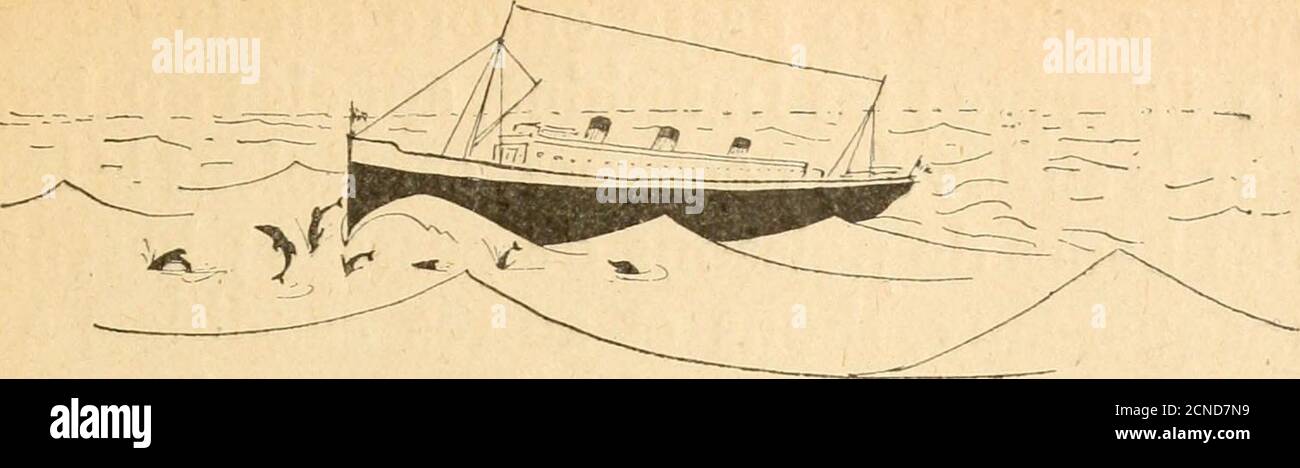 . Coucou ... Les voila! .. . ez bien de vérifier ma citation,car je ne suis pas très sûr de ma mémoire ;cest au livre i, vers la fable i5, que vustrouverez ce passage. Il est clair, après cela, que notre animalsemble bien mettre toute son à êtrepris pour un poisson, et quil méprise lesautres mammifères. Mais il a gardé ses mou-mons et respire comme vous et moi ; et puisil est si gentil que nous lui pardonneronscette attitude injurieuse. Les Dauphins ne sont pas très grands.avec 2 à 3 mètres du bec à la queue, ils setiennent pour satisfaits ; cest Plus quil nenfaut pour dépasser le Gr Foto Stock