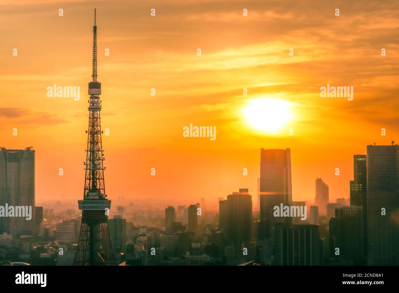 La Tokyo Tower e lo skyline di Tokyo si riferiscono a quella sera Foto Stock