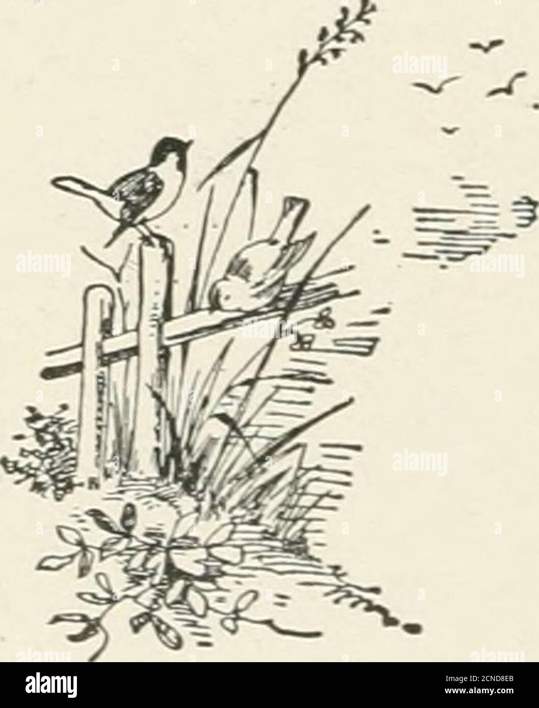 . Uccello-lore . .. Townley, Sig.ra J. L.. Treat, Miss N. F.. Troescher, A. F Tvler, MR. E MRS, W. G UnderwoodjM rs. C. J. Upham, Miss E... Vaillant, Sig.ra G. H. Vaillant, Sig.ra M. J.. Vandyke, Dr. T.. . Van Wagenen, Sig.ra G. A SIO 00 5 00 10 00 12 00 5 00 I 00 15 00 10 00 I 00 I 50 I 00 5 00 3 00 5 00 3 00 I 00 I 00 10 00 2 00 2 00 I 00 3 00 3 00 5 00 2 00 Varicle, ]Miss R S2 00 von Zedlitz, Sig.ra A. 2 00Wadsworth, R. C. W. (in Memoriam). . 5 00Wadsworth,Sig.ra W.A. 5 00 Wagner, W. A 5 00 Walker, Sig.ra A. H.. 5 00 Walker, Miss M. A.. 2 00 Watson, R. C 10 00 Weaver, Miss S. W.. 2 55 Weymouth, Miss Foto Stock