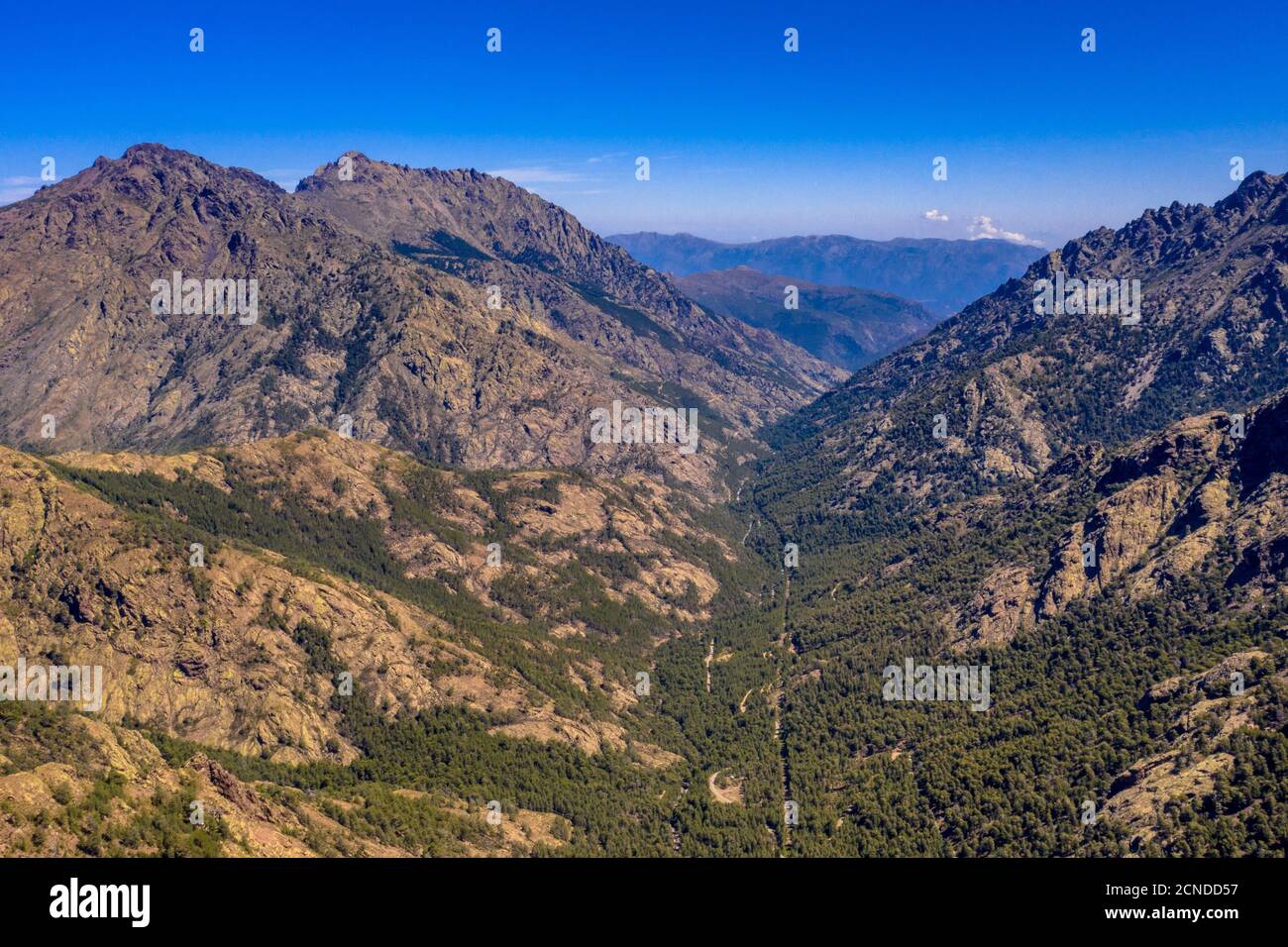 Veduta aerea della gola del fiume Asco in Haute Corse sull'isola di corsica, Francia Foto Stock