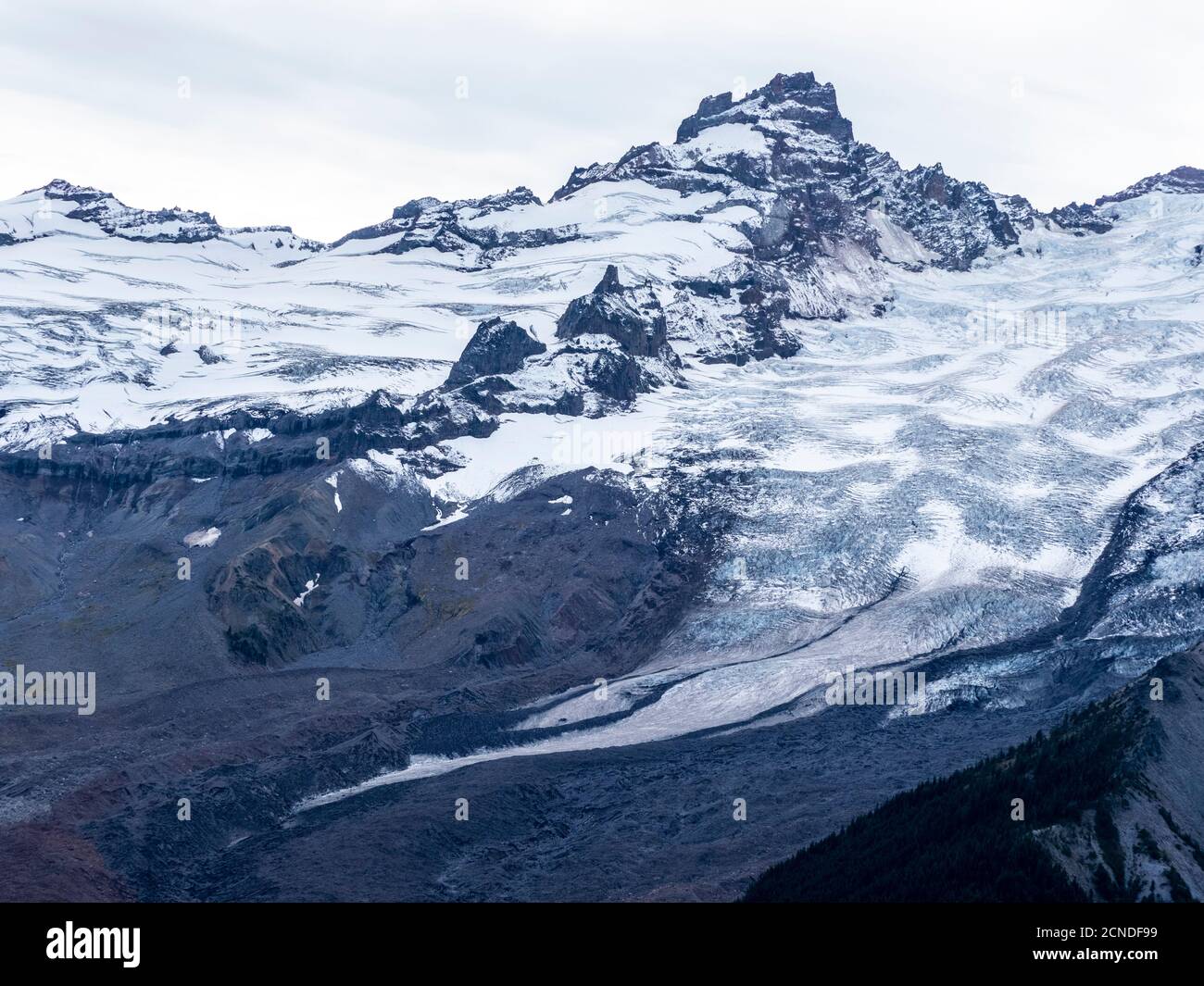 Primo semaforo su Mount Rainier dal Burroughs Mountain Trail, Mount Rainier National Park, Washington state, Stati Uniti d'America Foto Stock