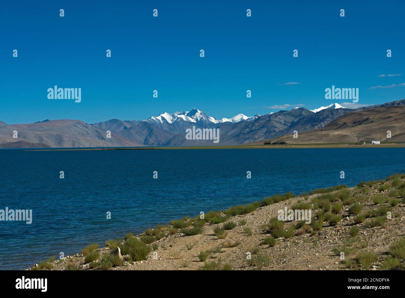TSO Moriri o Lago di montagna, Ladakh, India. Il più grande dei laghi ad alta quota interamente all'interno dell'India. L'acqua è salmastra Foto Stock