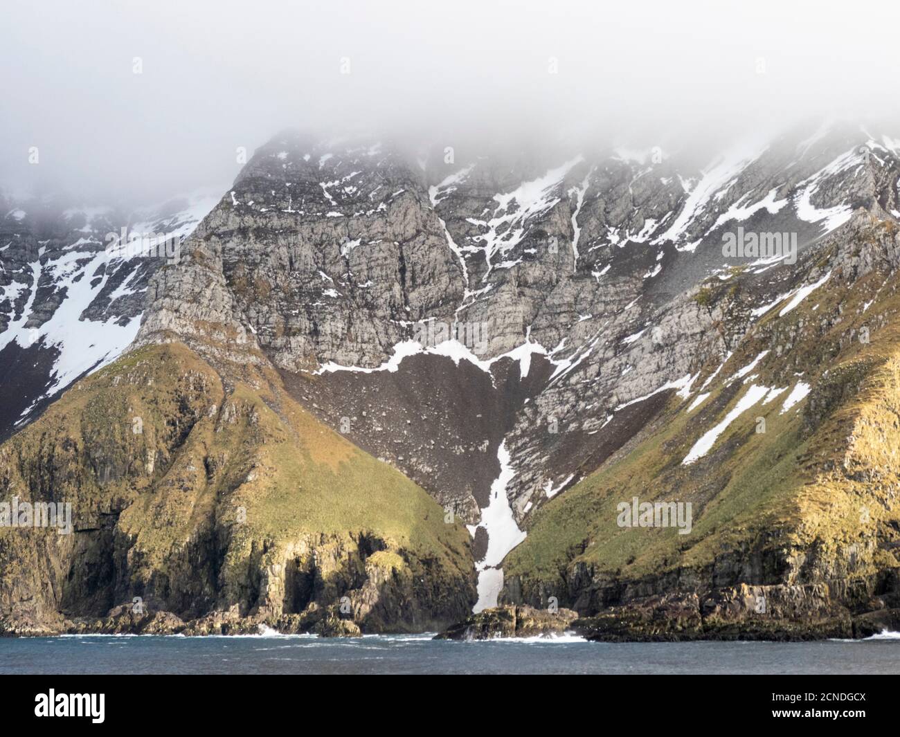 La costa rocciosa di Bird Island, sul lato nord-ovest della Georgia meridionale, regioni polari Foto Stock