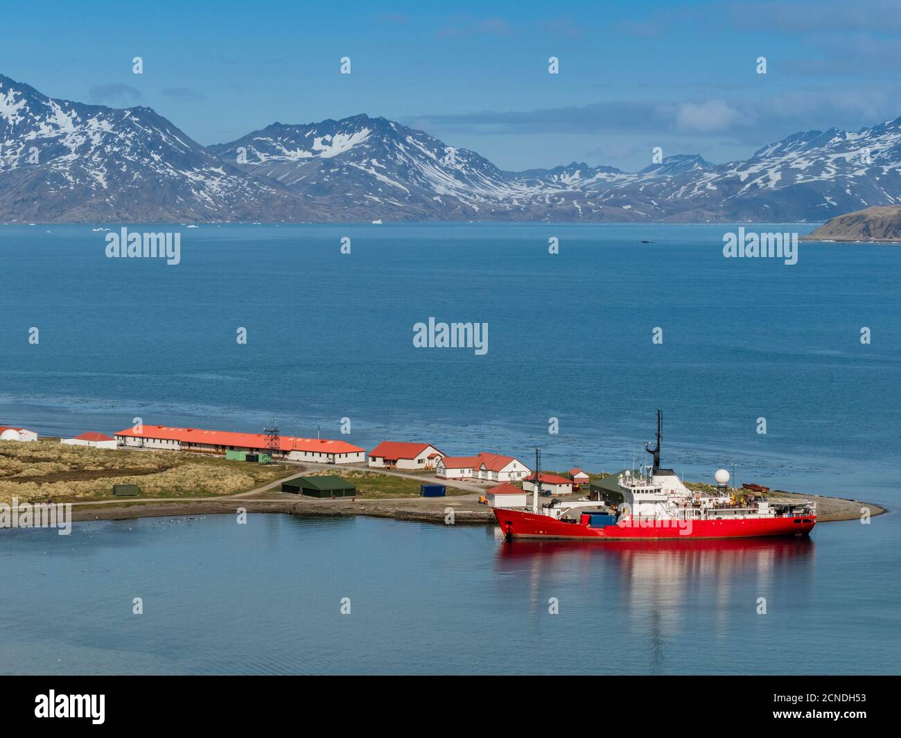 British Antartic Survey ship at King Edward Point in East Cumberland Bay, South Georgia, Polar Regions Foto Stock