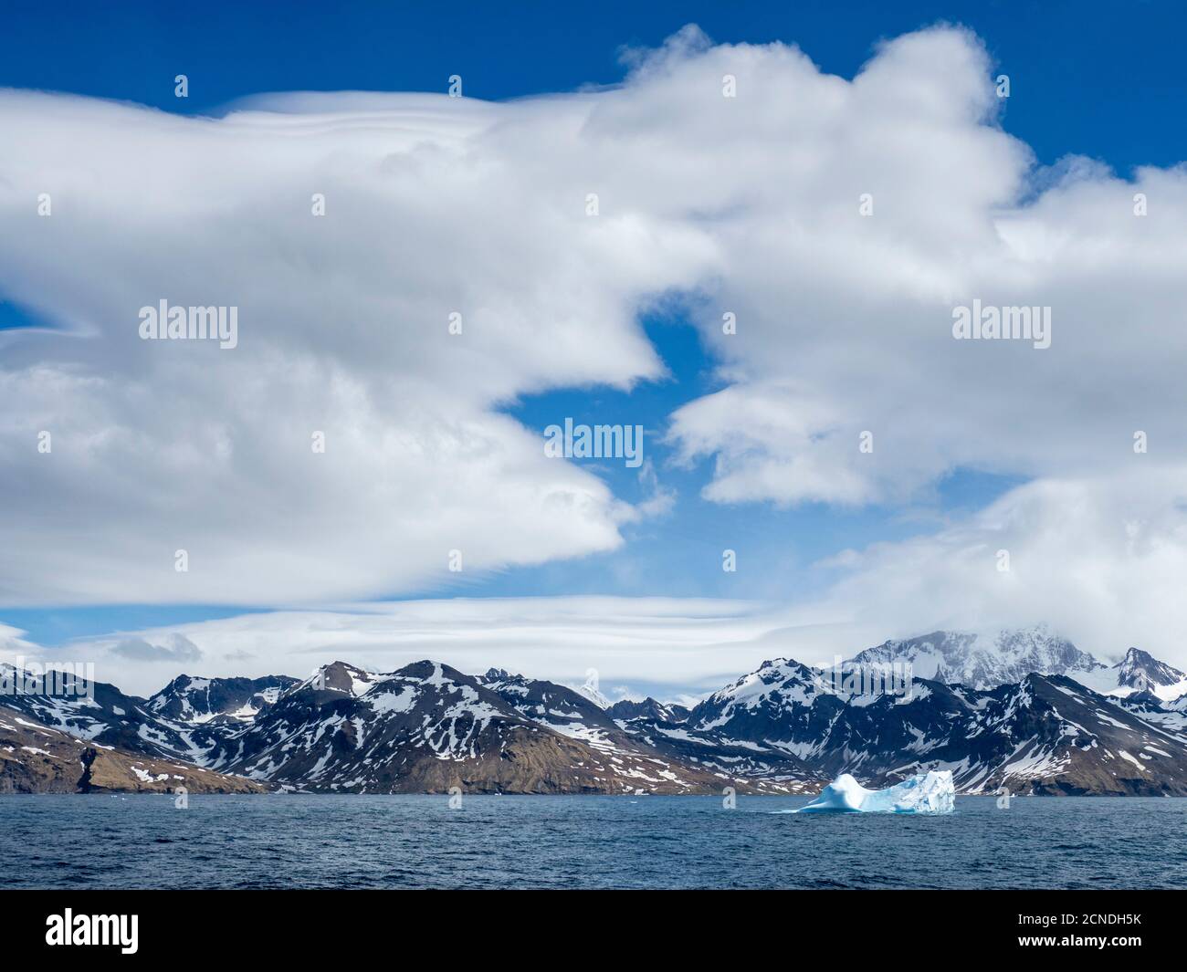 Grande iceberg all'ingresso della Baia di St. Andrews, Georgia del Sud, regioni polari Foto Stock