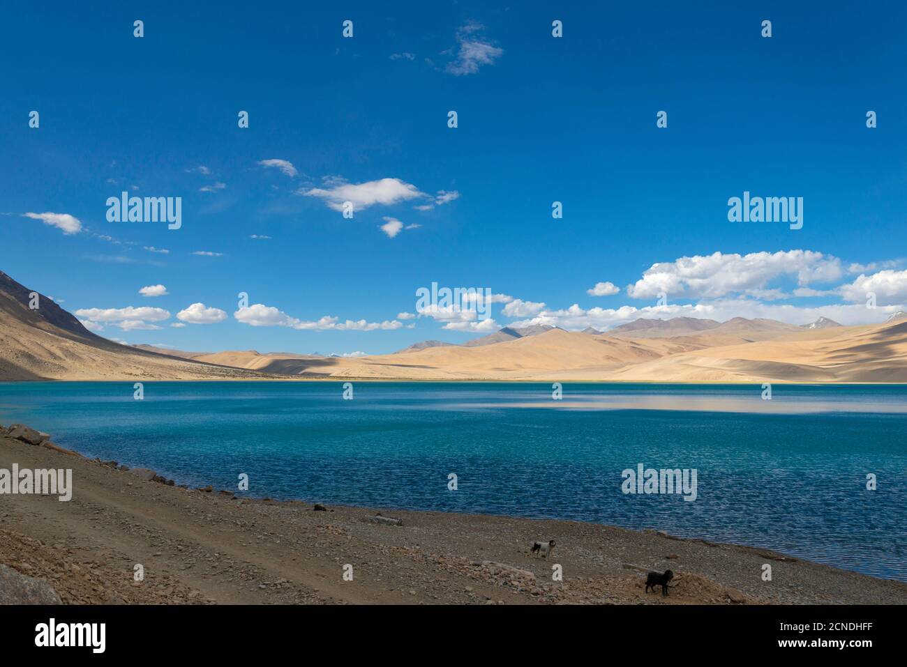Acqua blu di Tso Moriri o Lago di montagna, Ladakh, India. Il più grande dei laghi ad alta quota interamente all'interno dell'India. L'acqua è salmastra Foto Stock