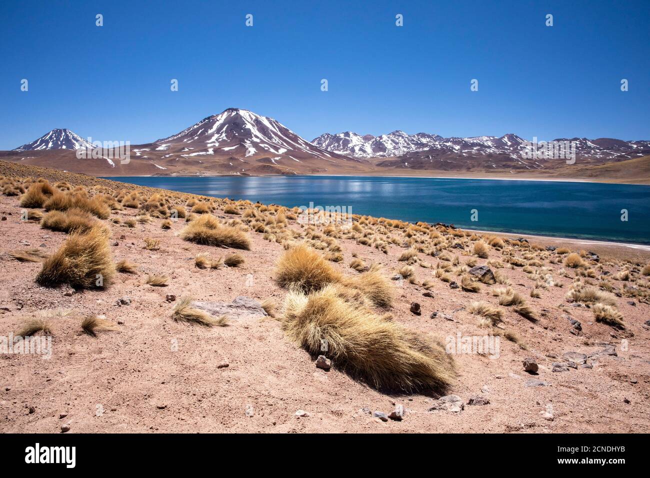 Laguna Miscanti, un lago salmastre ad un'altitudine di 4140 metri nella zona vulcanica centrale andina, Cile Foto Stock
