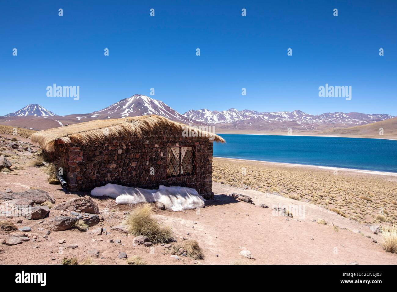 Rifugio a Laguna Miscanti, un lago salmastre ad un'altitudine di 4140 metri, zona vulcanica centrale, Cile Foto Stock