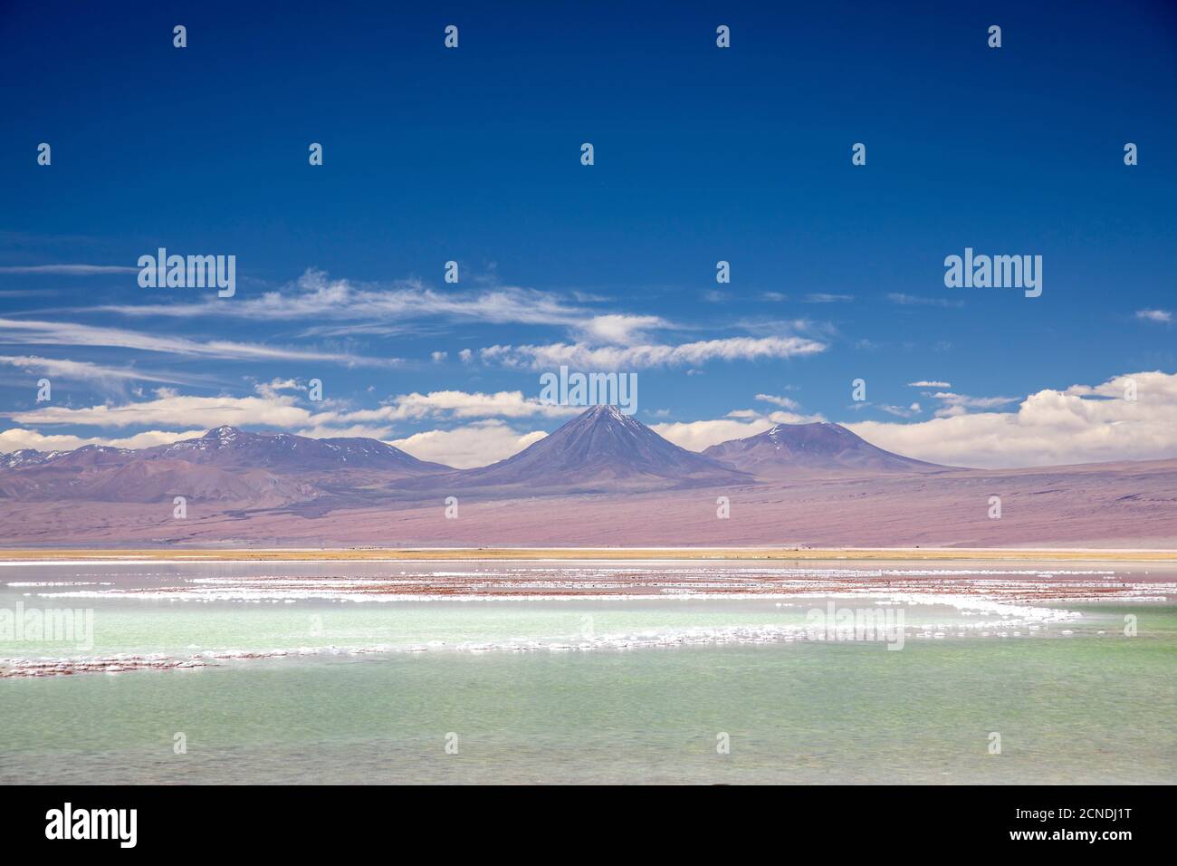 Laguna Tebenquicne, una laguna di acqua salata nel Salar de Atacama, Los Flamencos National Reserve, Cile Foto Stock