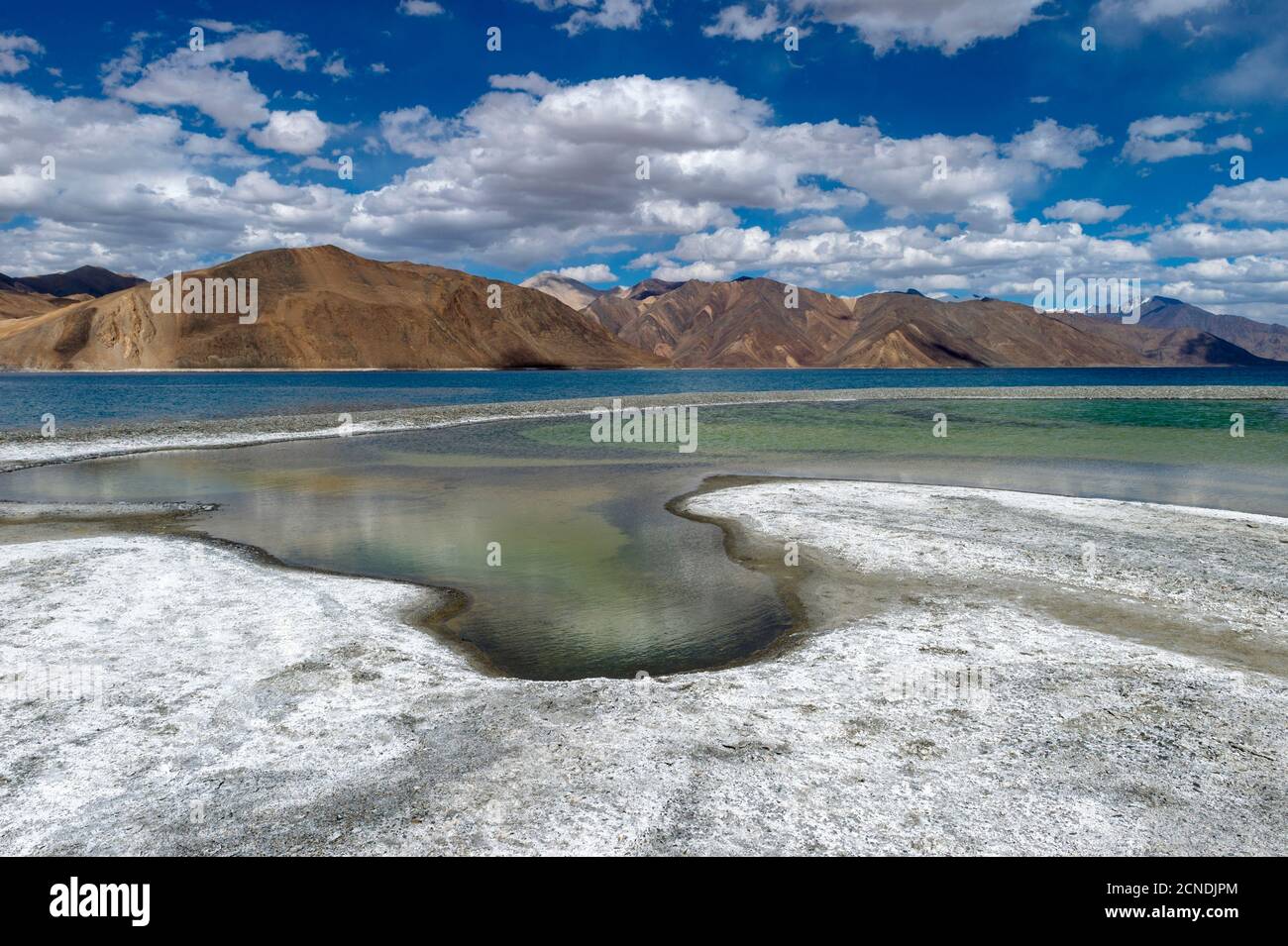 Formazione di sale sulle rive del lago Pangong, Ladakh, India. Armyman al lago Pangong, Ladakh, India. Pangong TSO è un lago endorheic nell'Himalaya Foto Stock