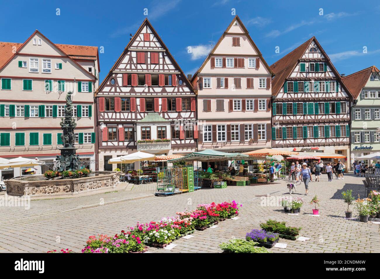 Giornata di mercato nella piazza del mercato, Tubingen, Baden-Wurttemberg, Germania, Europa Foto Stock