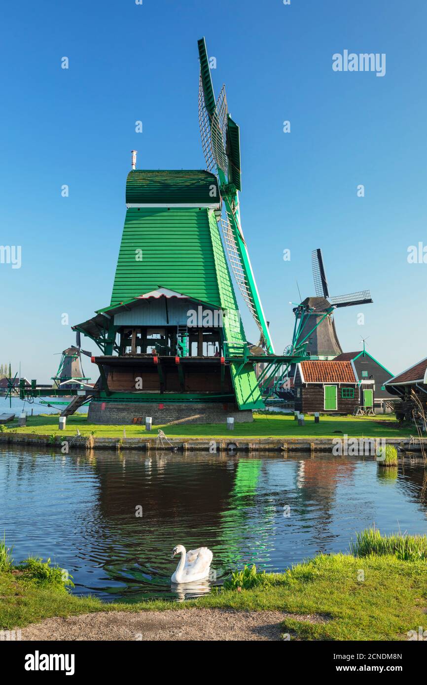 Mulini a vento, museo all'aperto, Zaanse Schans, Zaandam, Olanda del Nord, Paesi Bassi, Europa Foto Stock