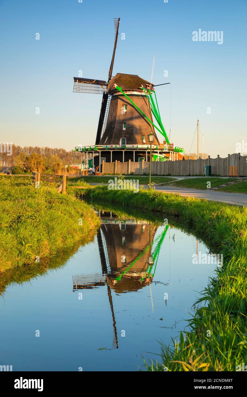 Mulino che riflette in un fiume, museo all'aperto, Zaanse Schans, Zaandam, Olanda del Nord, Paesi Bassi, Europa Foto Stock