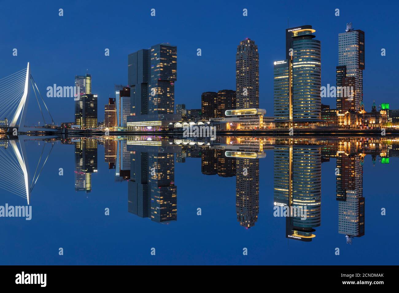 Skyline con Erasmus Bridge, World Port Center, Hotel New York e Montevideo Building, Rotterdam, Sud Olanda, Paesi Bassi, Europa Foto Stock