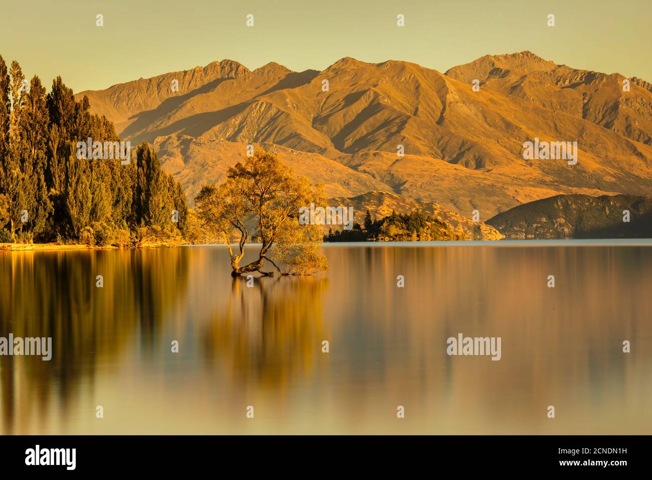 Lago Wanaka all'alba, Monte-aspirante Parco Nazionale, Patrimonio Mondiale dell'UNESCO, Otago, Isola del Sud, Nuova Zelanda, Pacifico Foto Stock