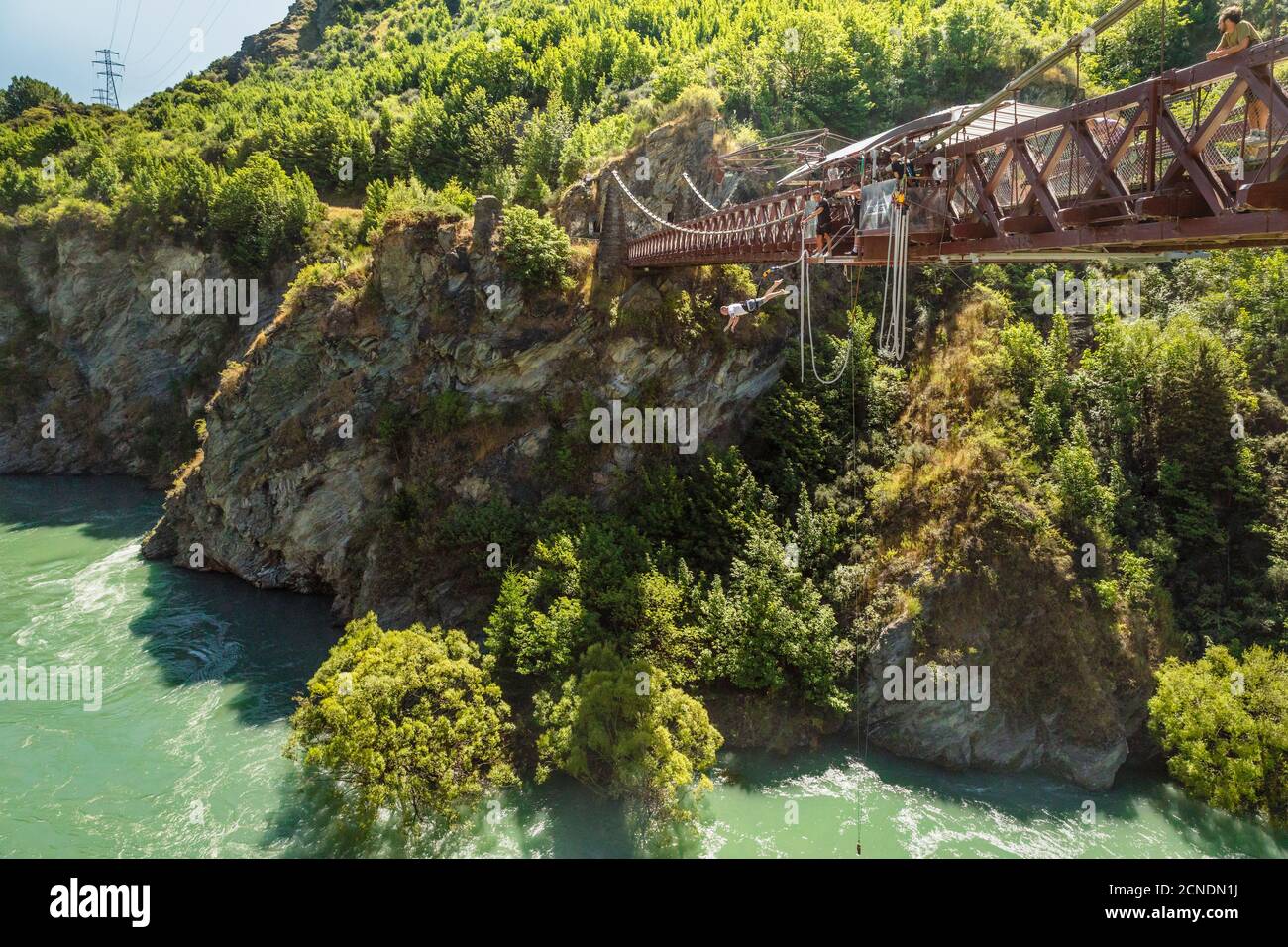 Bungee Jumping da Kawarau Bridge, Kawarau River Gorge, Queenstown, Otago, South Island, Nuova Zelanda, Pacifico Foto Stock