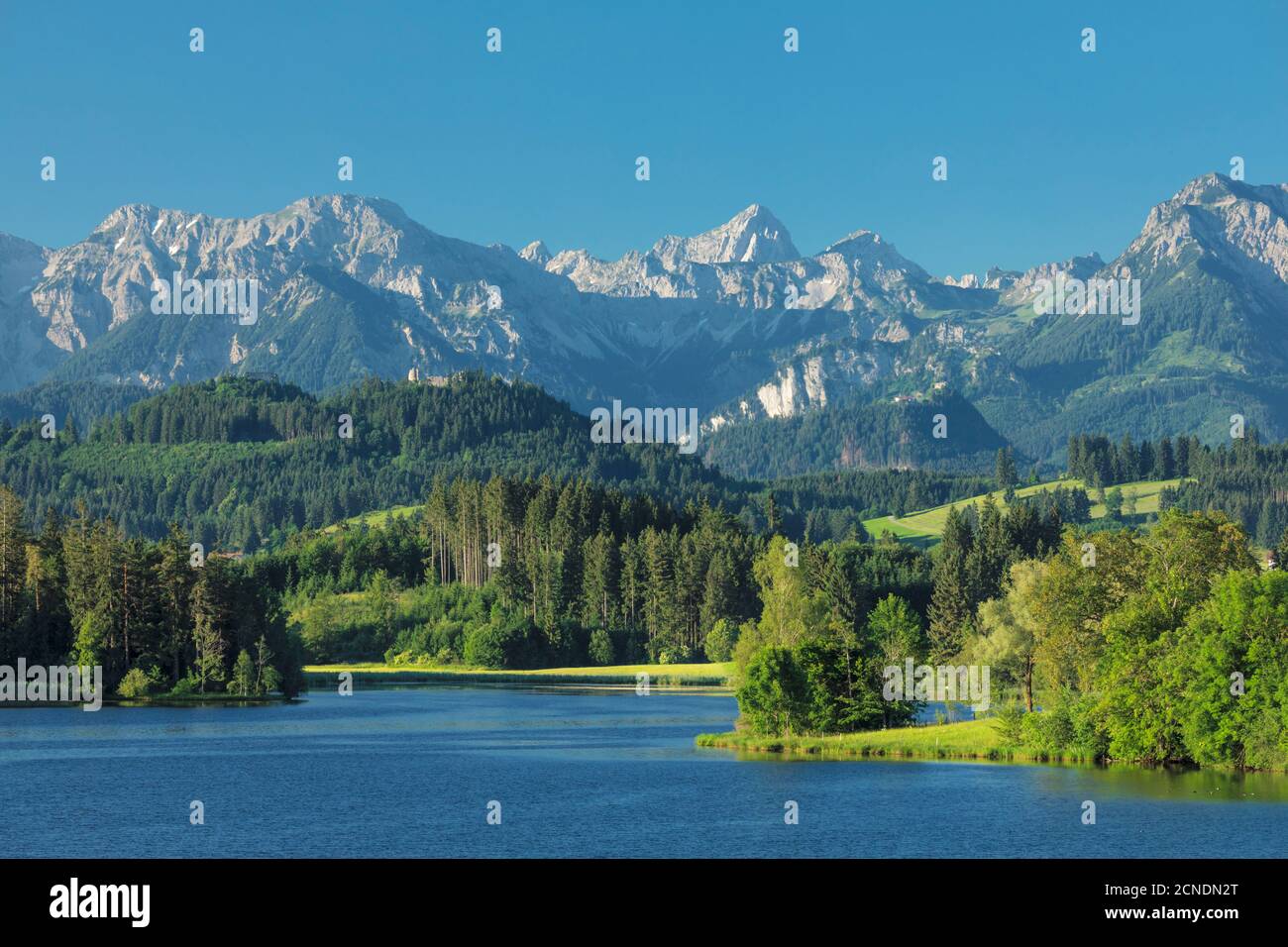 Lago di Schwaltenweiher, Seeg, Alpi Allgau, Allgau, Schwaben, Baviera, Germania, Europa Foto Stock