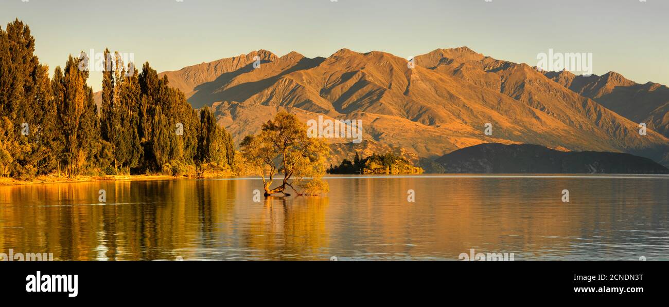 Lago Wanaka all'alba, Monte-aspirante Parco Nazionale, Patrimonio Mondiale dell'UNESCO, Otago, Isola del Sud, Nuova Zelanda, Pacifico Foto Stock